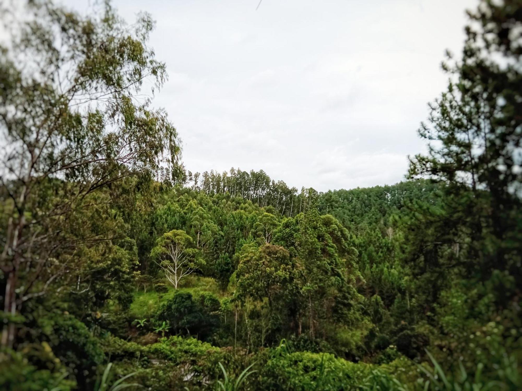 New Rose Villa Bandarawela Ella Exterior foto