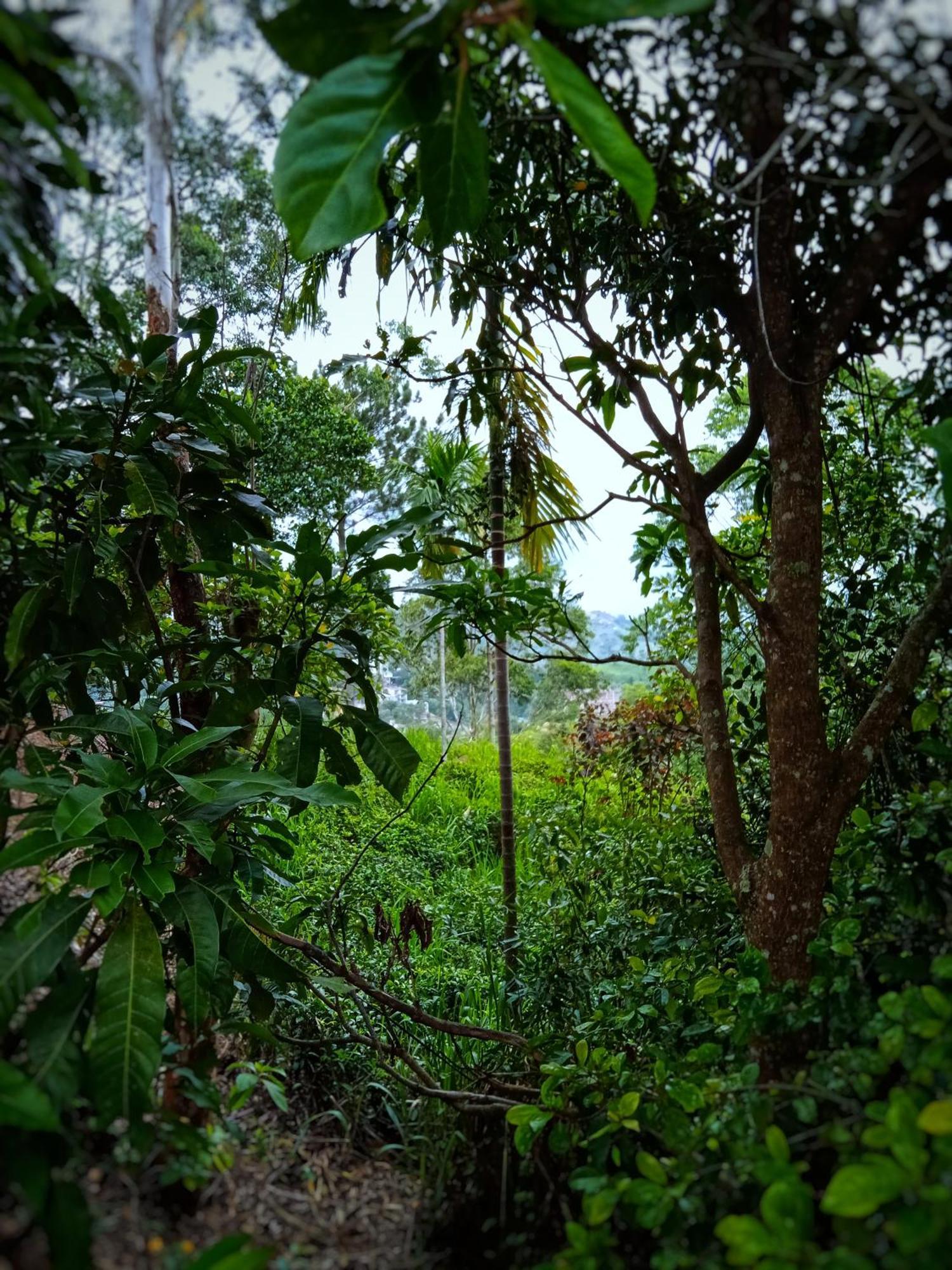 New Rose Villa Bandarawela Ella Exterior foto